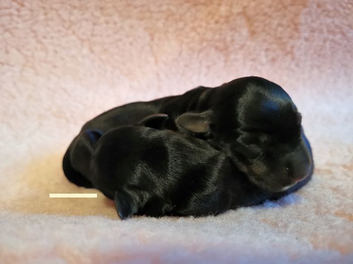 The little ones, born 21/2-19